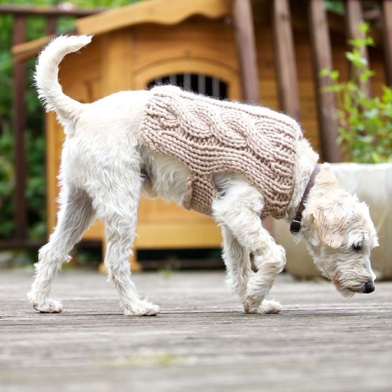 Oscar Dog Coat Knitting Pattern – Jo Storie Knits